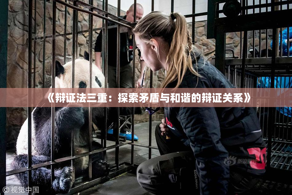 《辩证法三重：探索矛盾与和谐的辩证关系》