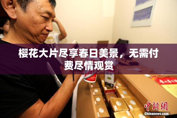樱花大片尽享春日美景，无需付费尽情观赏
