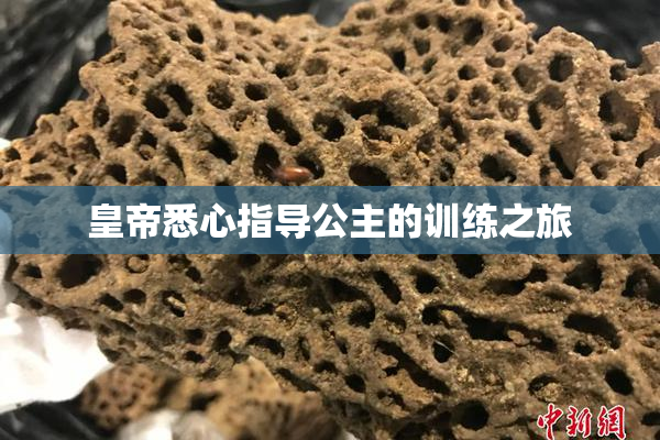 皇帝悉心指导公主的训练之旅
