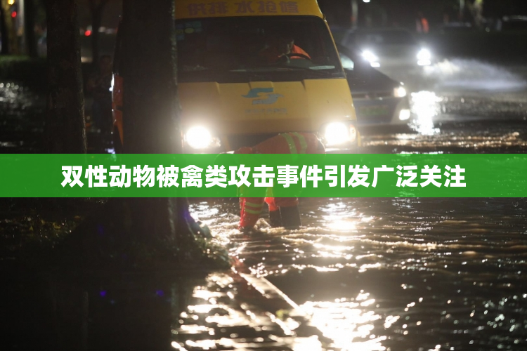 双性动物被禽类攻击事件引发广泛关注