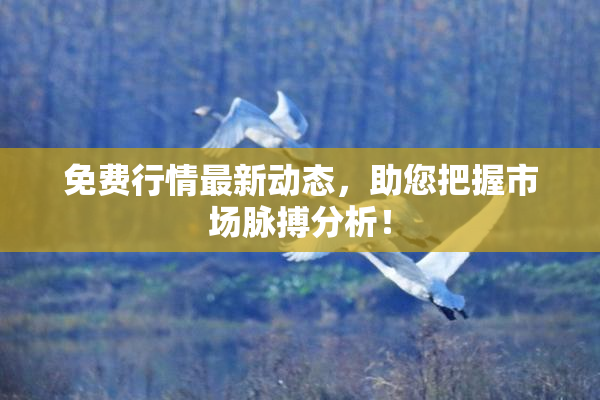 免费行情最新动态，助您把握市场脉搏分析！
