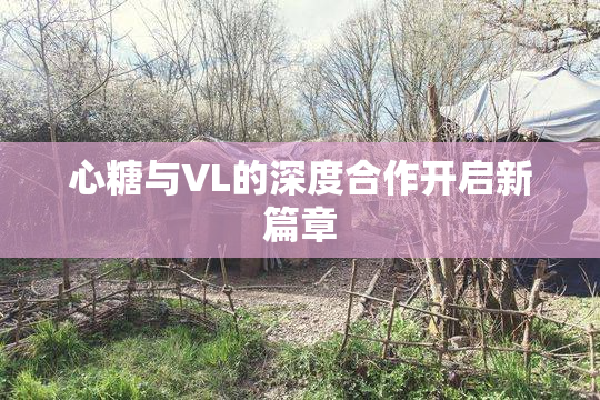 心糖与VL的深度合作开启新篇章