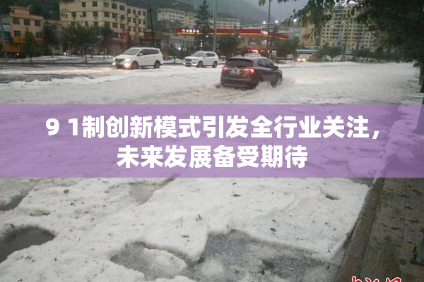 9 1制创新模式引发全行业关注，未来发展备受期待