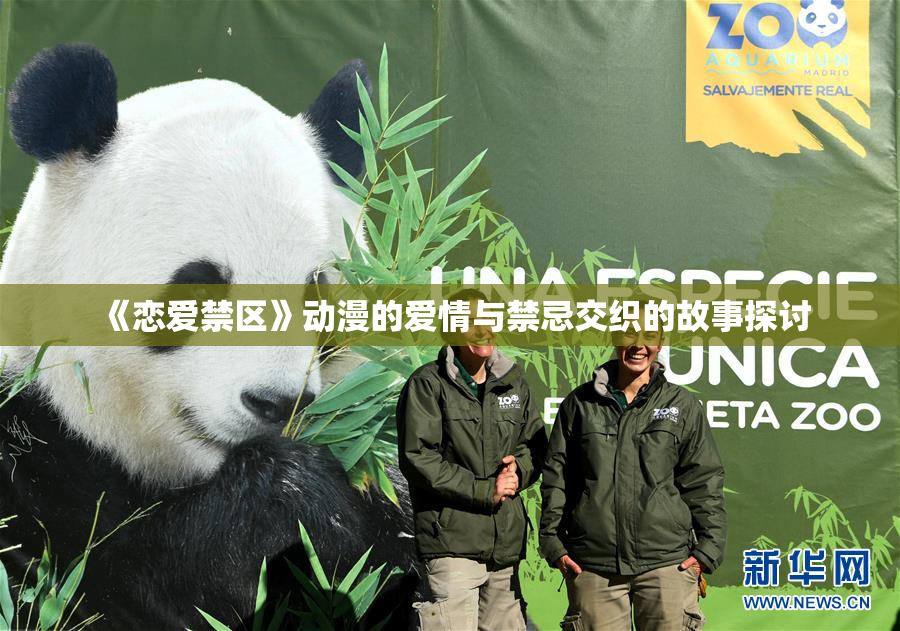 《恋爱禁区》动漫的爱情与禁忌交织的故事探讨