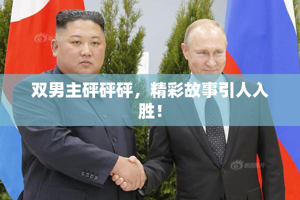 双男主砰砰砰，精彩故事引人入胜！
