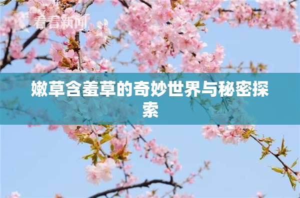 嫩草含羞草的奇妙世界与秘密探索