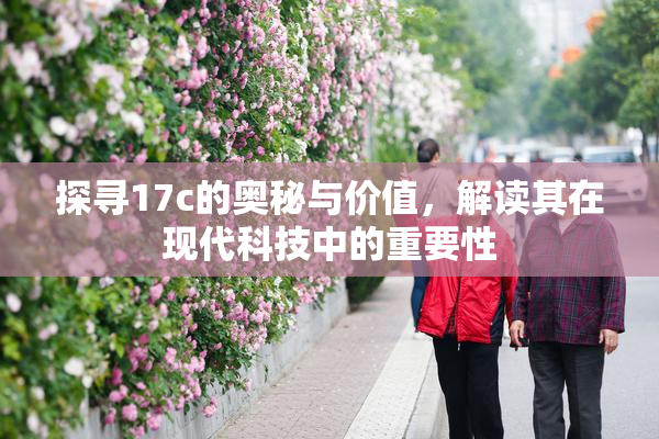 探寻17c的奥秘与价值，解读其在现代科技中的重要性