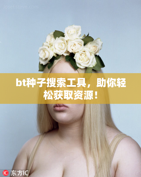 bt种子搜索工具，助你轻松获取资源！