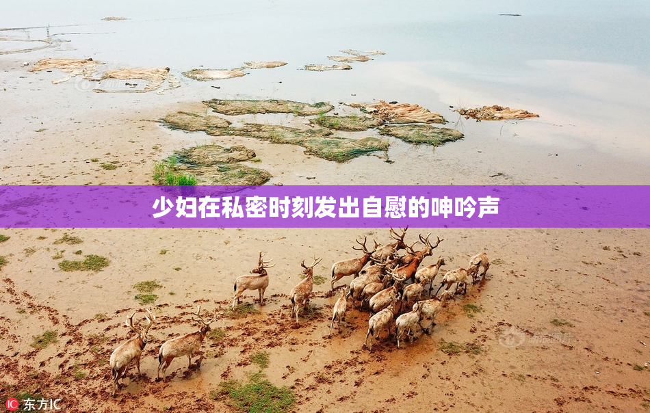 少妇在私密时刻发出自慰的呻吟声