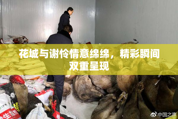 花城与谢怜情意绵绵，精彩瞬间双重呈现