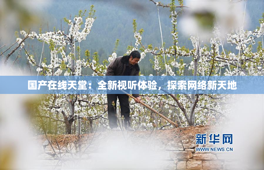 国产在线天堂：全新视听体验，探索网络新天地
