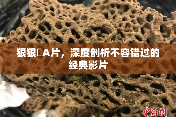 狠狠穞A片，深度剖析不容错过的经典影片