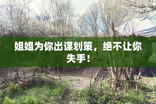 姐姐为你出谋划策，绝不让你失手！