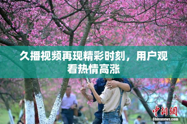 久播视频再现精彩时刻，用户观看热情高涨