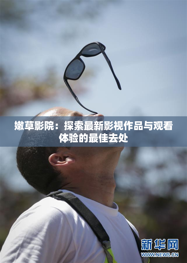嫩草影院：探索最新影视作品与观看体验的最佳去处