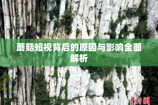蘑菇短视背后的原因与影响全面解析