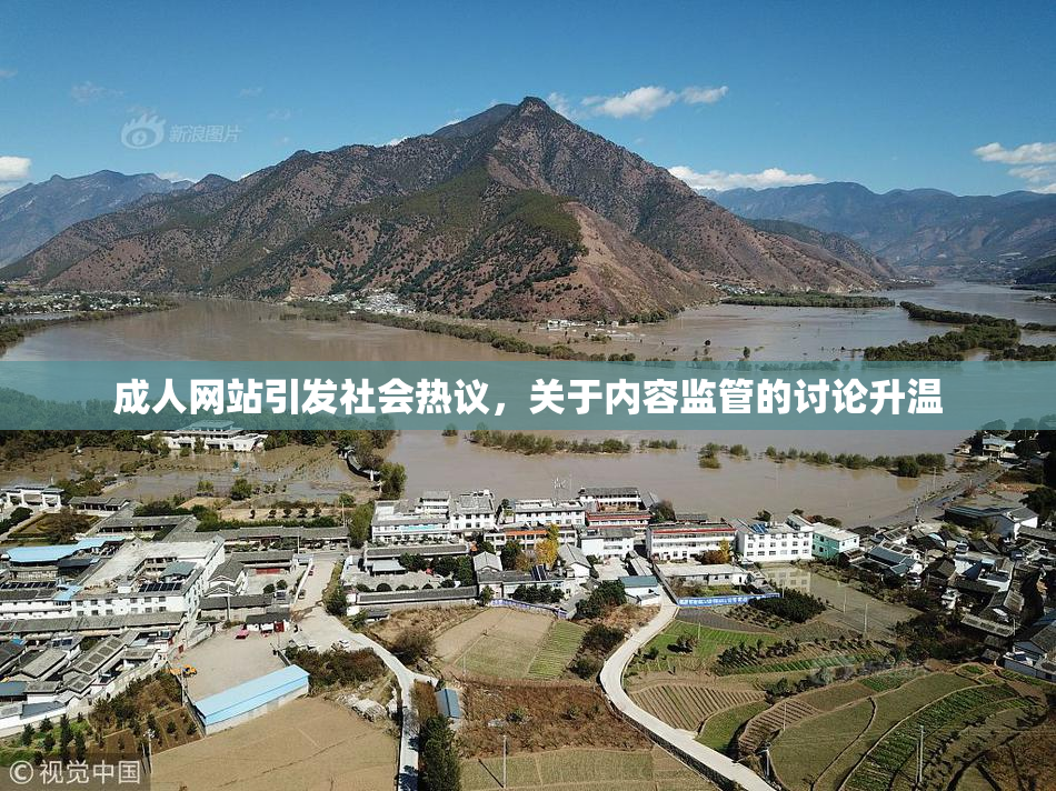 成人网站引发社会热议，关于内容监管的讨论升温