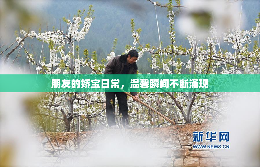 朋友的娇宝日常，温馨瞬间不断涌现