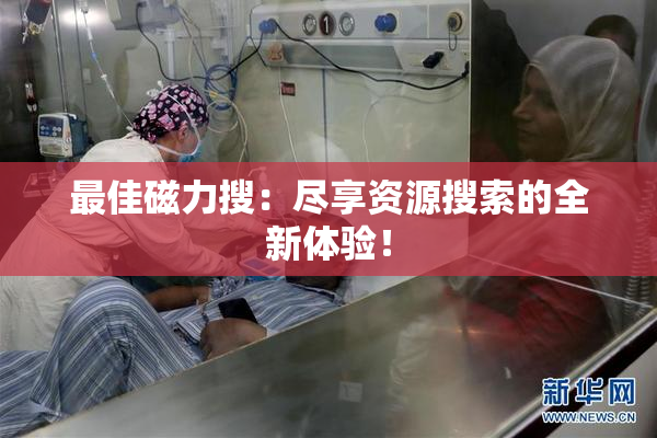 最佳磁力搜：尽享资源搜索的全新体验！