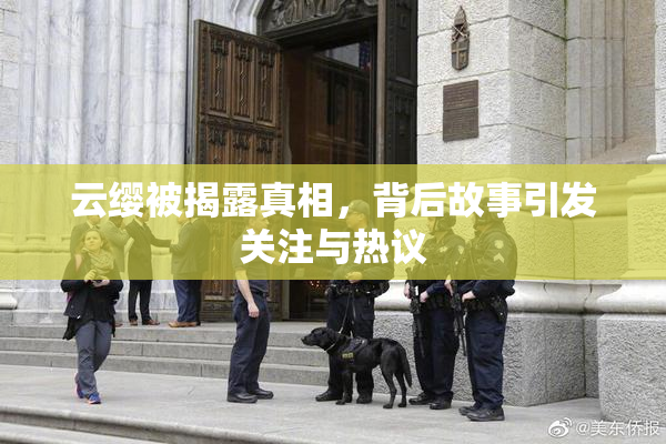 云缨被揭露真相，背后故事引发关注与热议