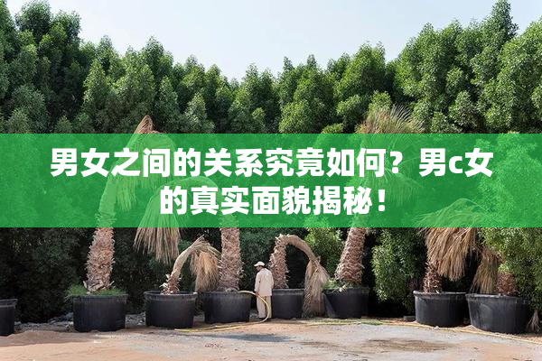 男女之间的关系究竟如何？男c女的真实面貌揭秘！