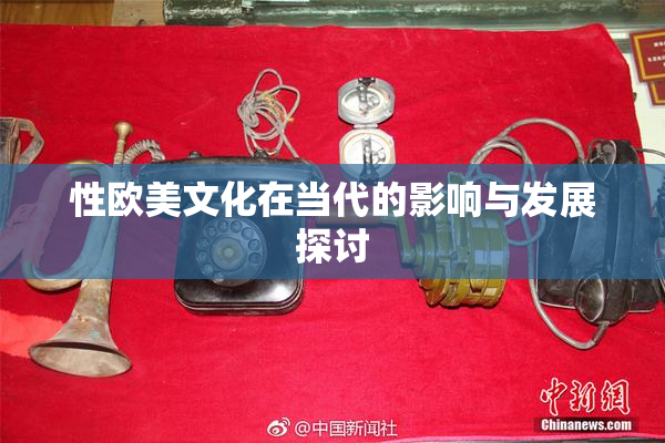 性欧美文化在当代的影响与发展探讨