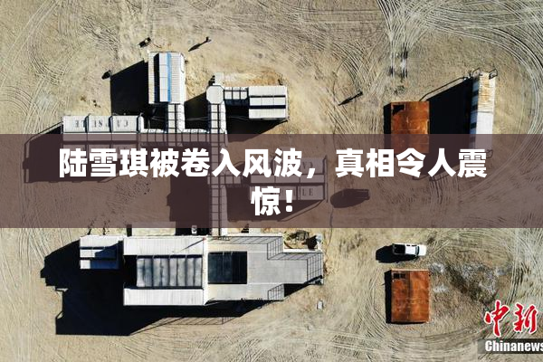 陆雪琪被卷入风波，真相令人震惊！