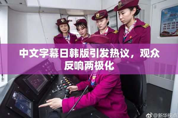 中文字幕日韩版引发热议，观众反响两极化