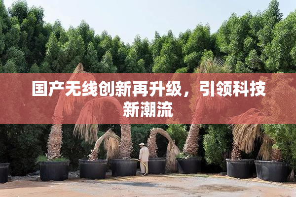 国产无线创新再升级，引领科技新潮流