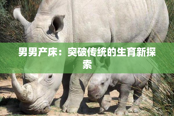 男男产床：突破传统的生育新探索