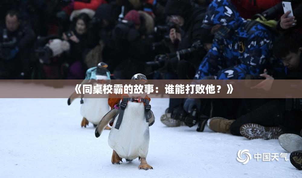 《同桌校霸的故事：谁能打败他？》