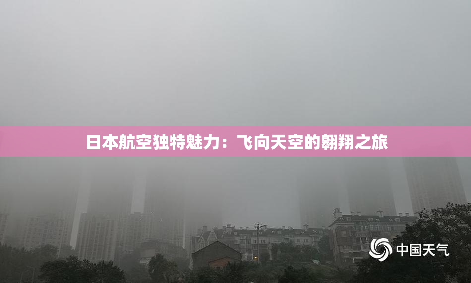 日本航空独特魅力：飞向天空的翱翔之旅