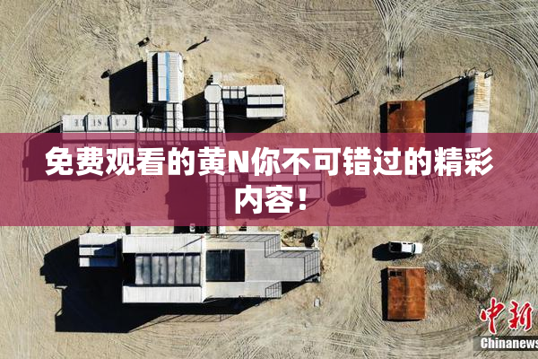 免费观看的黄Ν你不可错过的精彩内容！