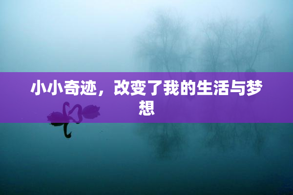 小小奇迹，改变了我的生活与梦想
