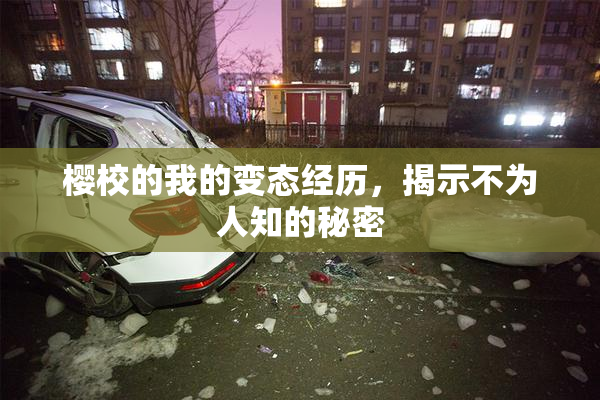 樱校的我的变态经历，揭示不为人知的秘密