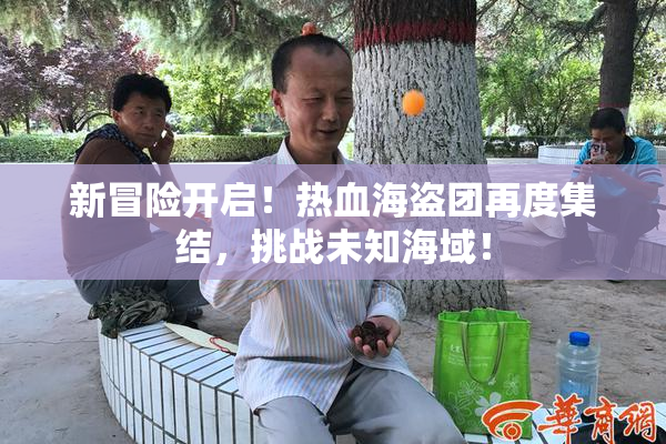 新冒险开启！热血海盗团再度集结，挑战未知海域！