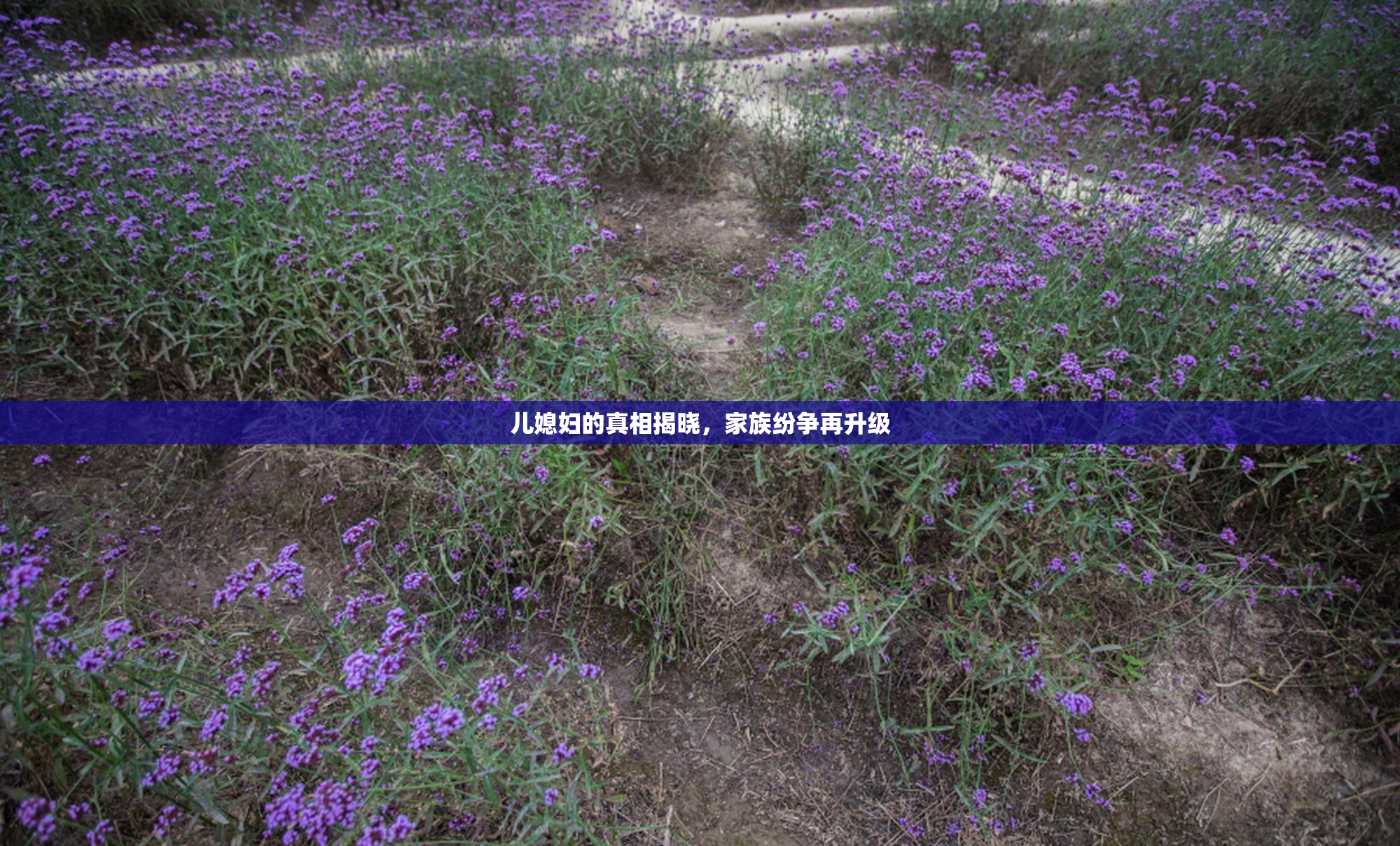 儿媳妇的真相揭晓，家族纷争再升级