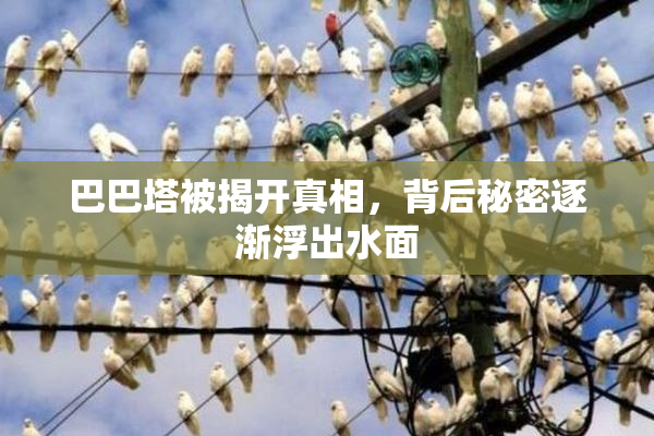 巴巴塔被揭开真相，背后秘密逐渐浮出水面