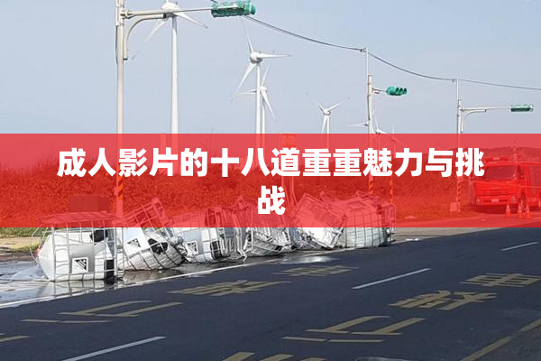 成人影片的十八道重重魅力与挑战