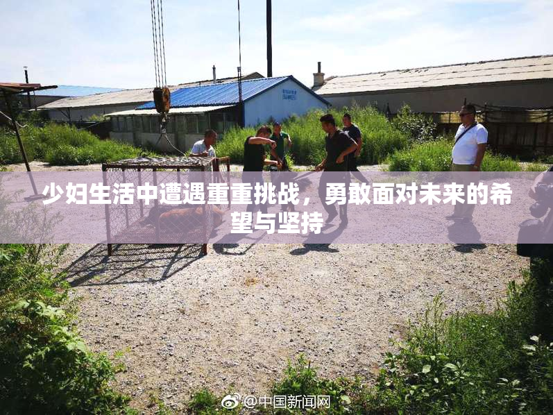少妇生活中遭遇重重挑战，勇敢面对未来的希望与坚持