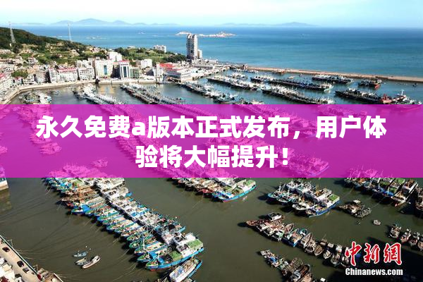 永久免费a版本正式发布，用户体验将大幅提升！