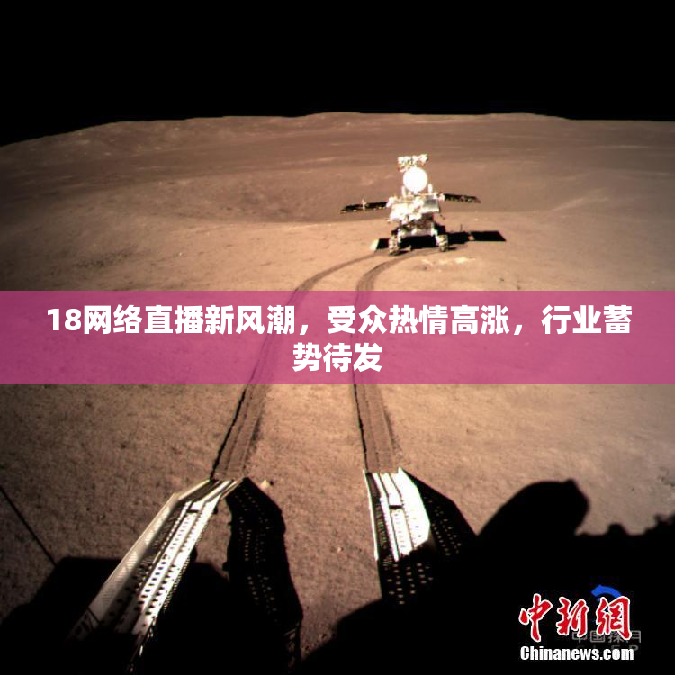 18网络直播新风潮，受众热情高涨，行业蓄势待发