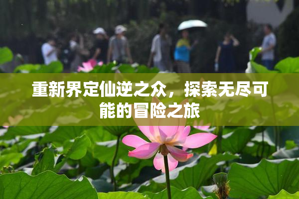 重新界定仙逆之众，探索无尽可能的冒险之旅