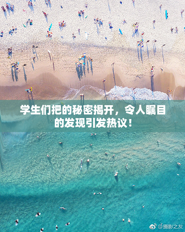 学生们把的秘密揭开，令人瞩目的发现引发热议！