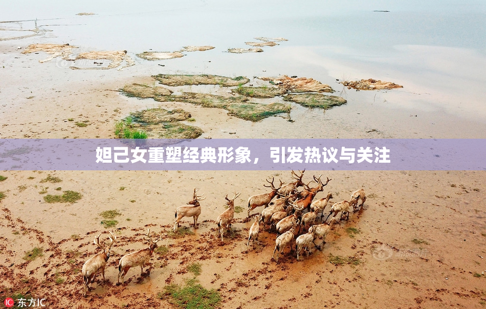 妲己女重塑经典形象，引发热议与关注