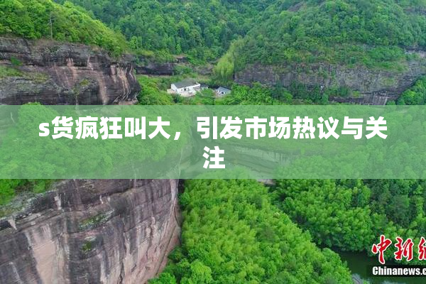 s货疯狂叫大，引发市场热议与关注