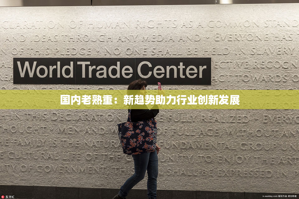 国内老熟重：新趋势助力行业创新发展