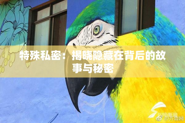特殊私密：揭晓隐藏在背后的故事与秘密