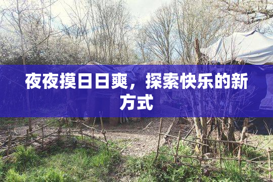 夜夜摸日日爽，探索快乐的新方式