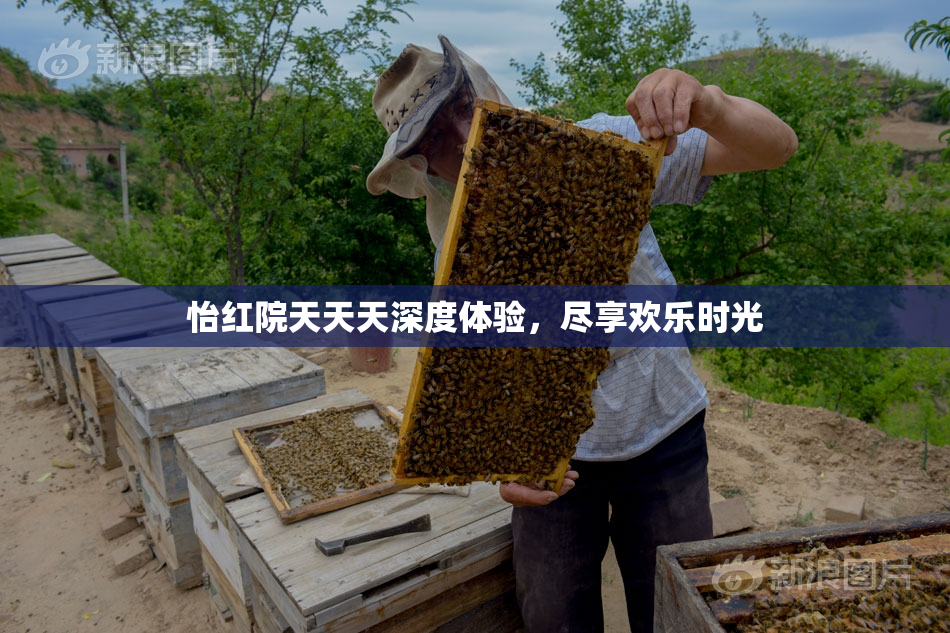 怡红院天天天深度体验，尽享欢乐时光